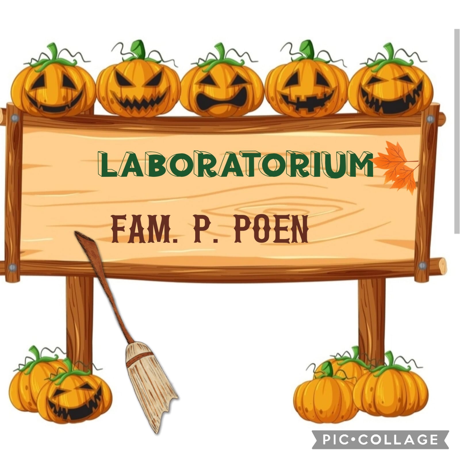 Trick or treat 2026 bij het laboratorium van de familie P. Poen